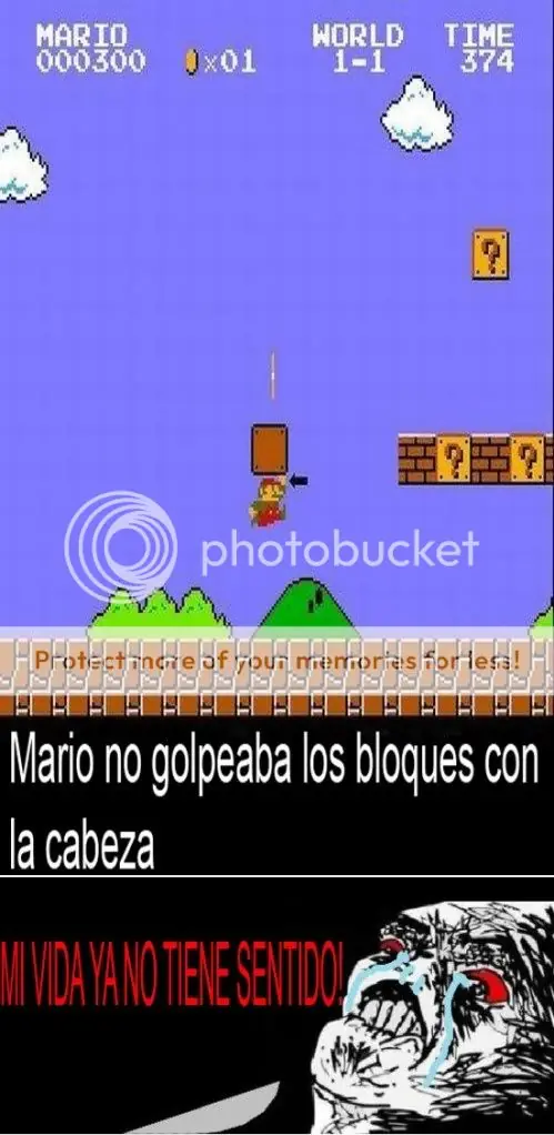 Imagenes Graciosas De Todo Tipo 3