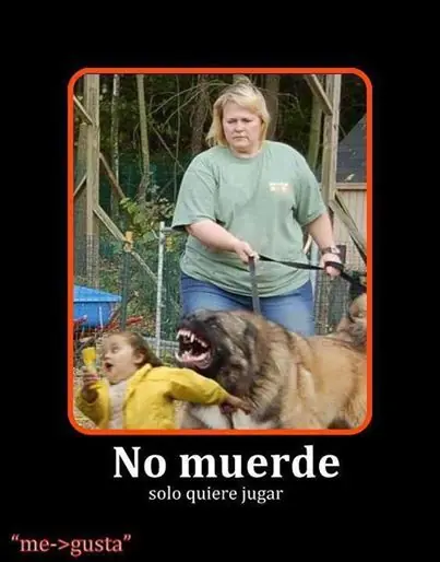 Imagenes Graciosas Entraaa y Reite un rato!!!! XD (Parte 2)