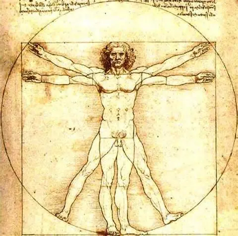 10 MENTIRAS sobre el cuerpo humano que aún enseñan
