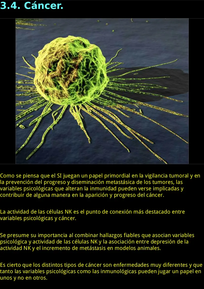 La mente y el sistema inmunitario