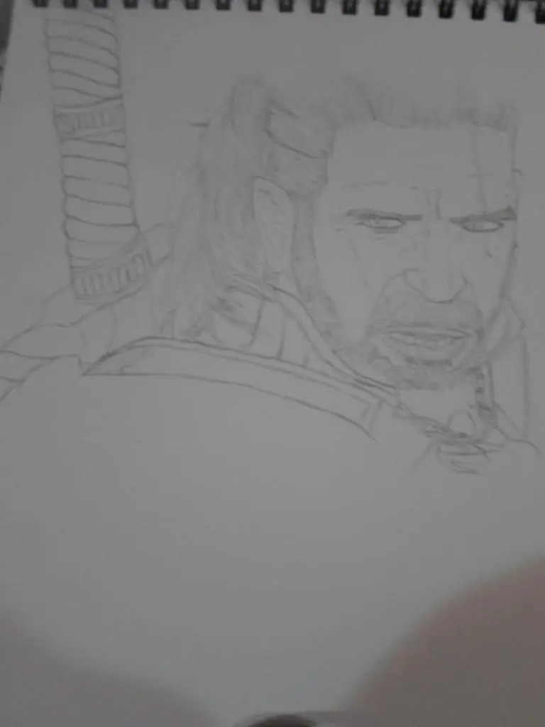 the witcher