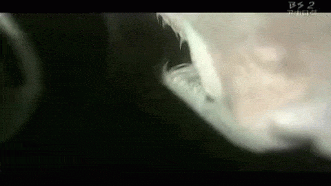 profundidad del oceano