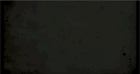 increible