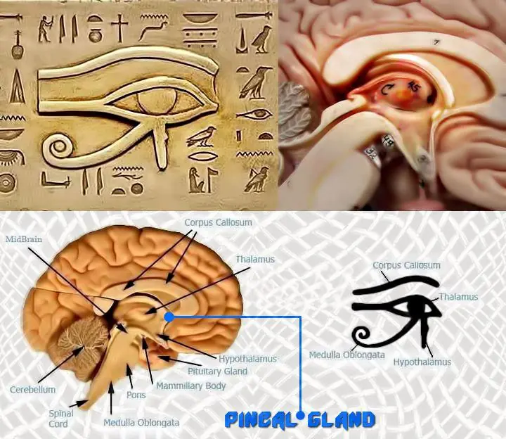 Kali-Yuga y tiempo como Consciencia
