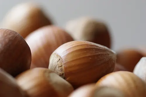 frutos secos