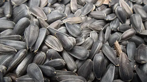Los 5 mejores frutos secos