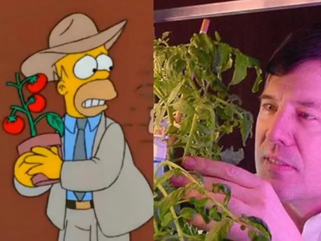 coincidencias