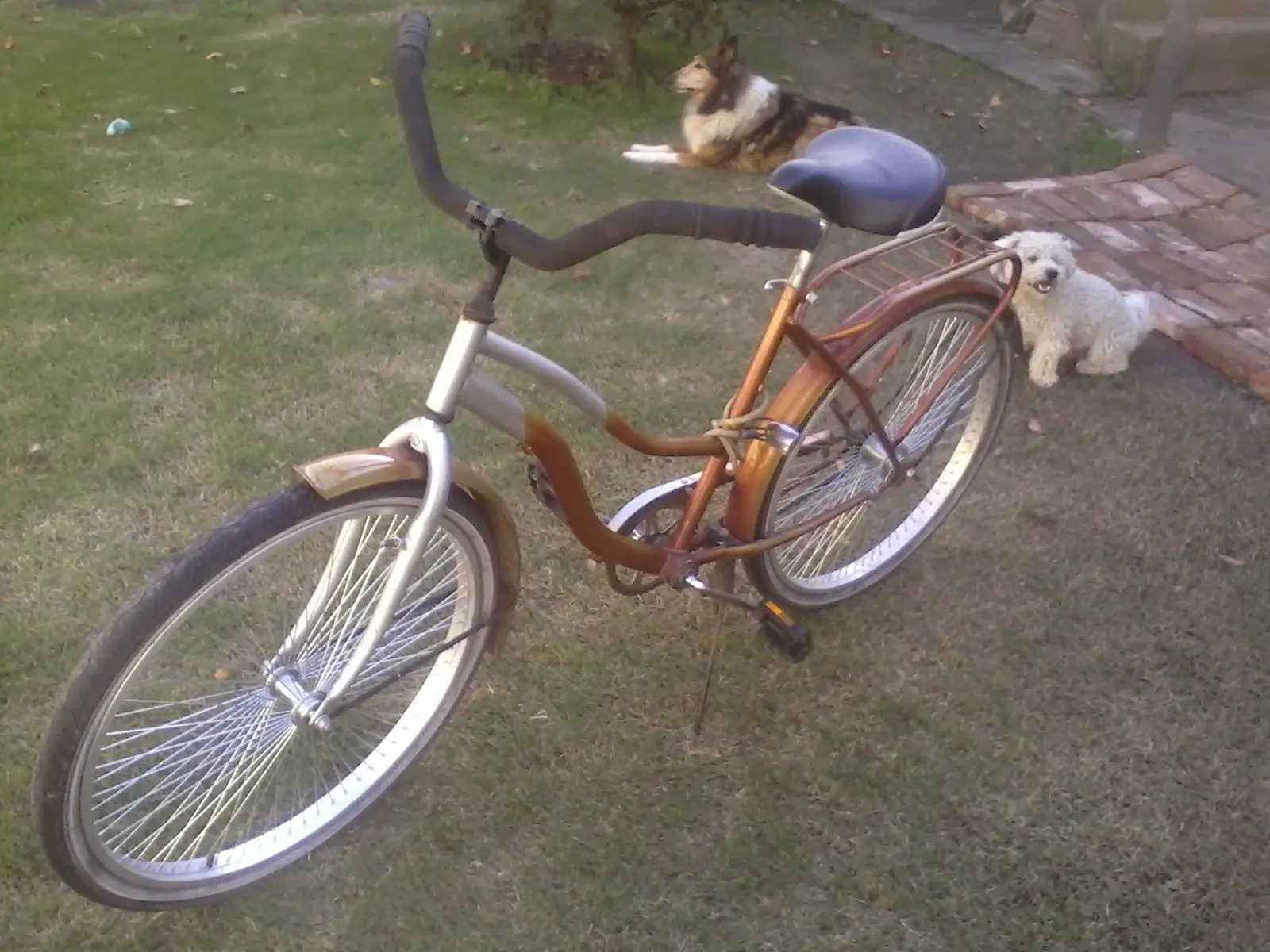 bici