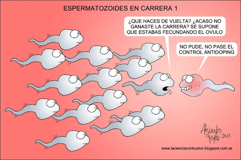 Marihuana afecta a los espermatozoides