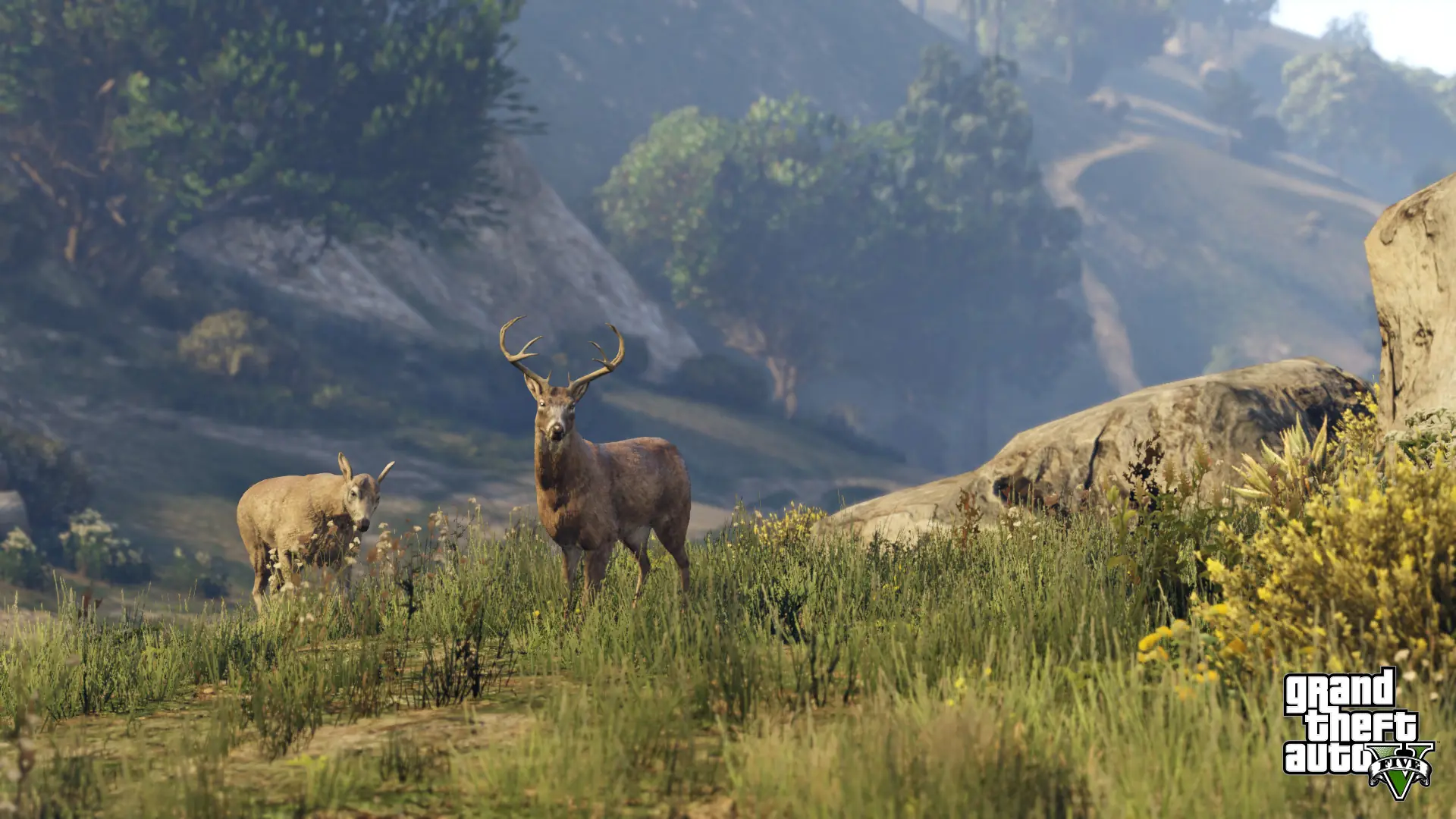 GTA V