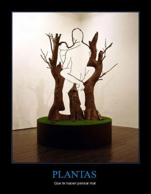 gifs animados