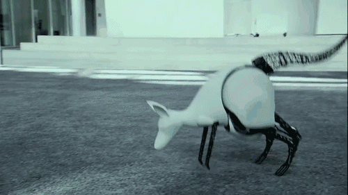 Ciencia y Educación. Gifs impresionantes