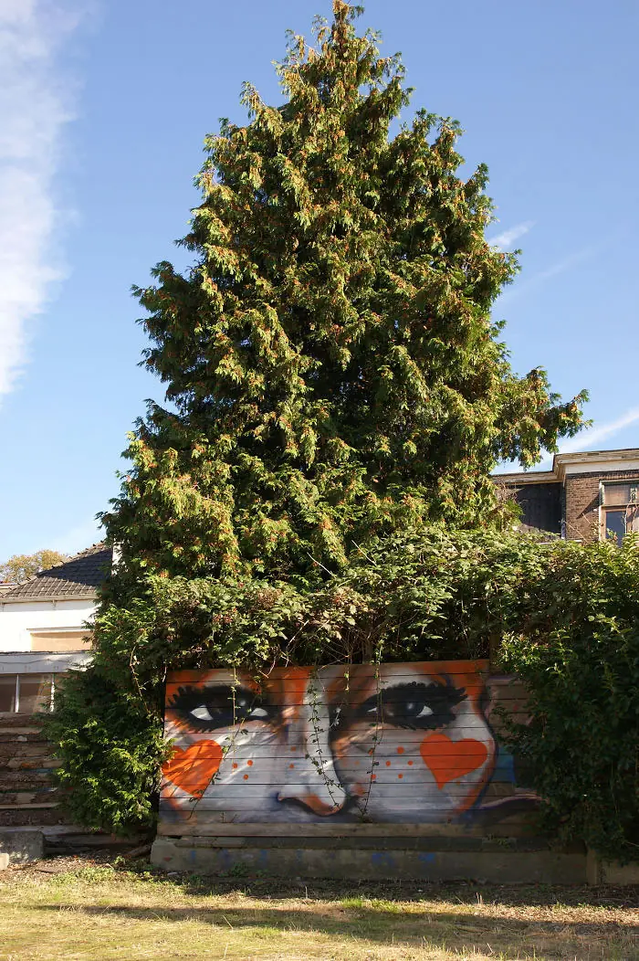 street art