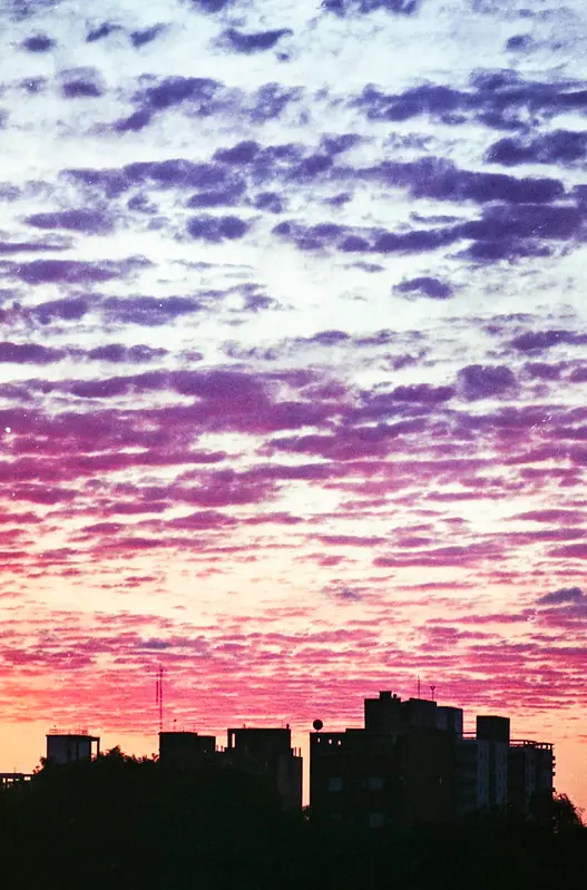 Mi humilde obra audiovisual (Parte 2)