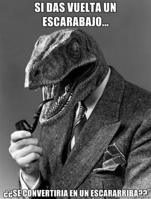 Filosoraptor [MegaPost]