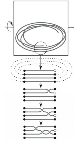 cientificos