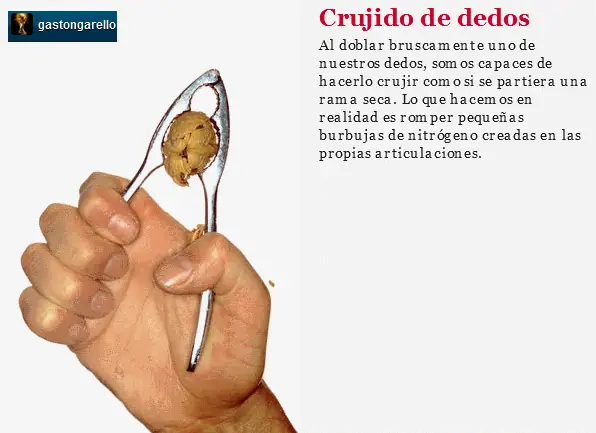 ruidos