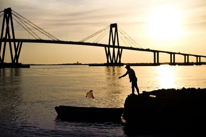 Mi humilde obra audiovisual (Parte 2)