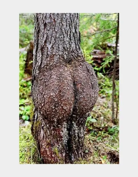 fotos de cualquiera curiosoas y asombrosas (parte 4)