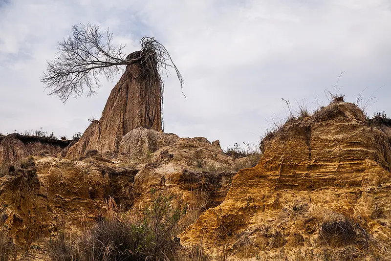 Mi humilde obra audiovisual (Parte 2)