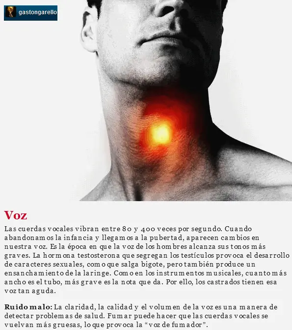 Que