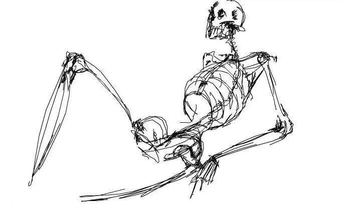 Dibujo