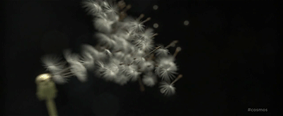 neil de grasse tyson