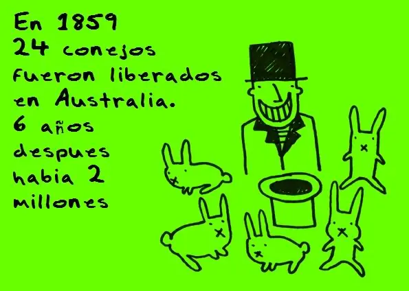 curiosidades