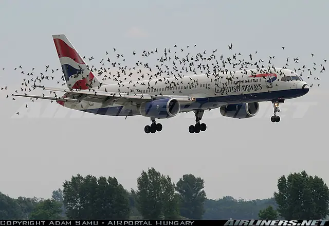 aviones