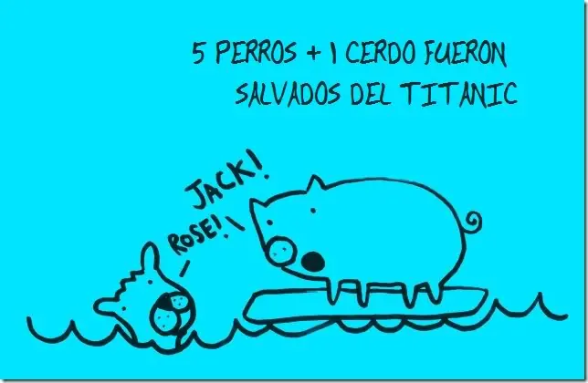 curiosidades