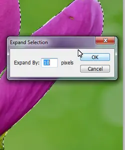 tutorial