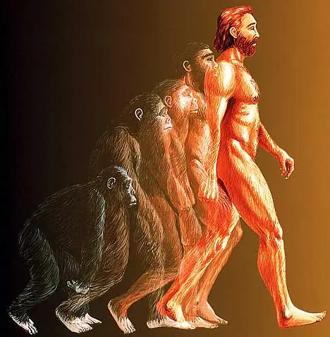 Teoría de La Evolución.