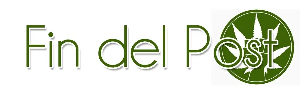 Como hacer tu propia silueta para este viernes