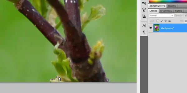 Herramienta