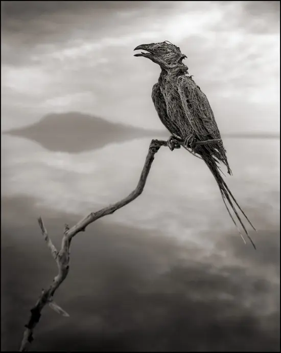 africa