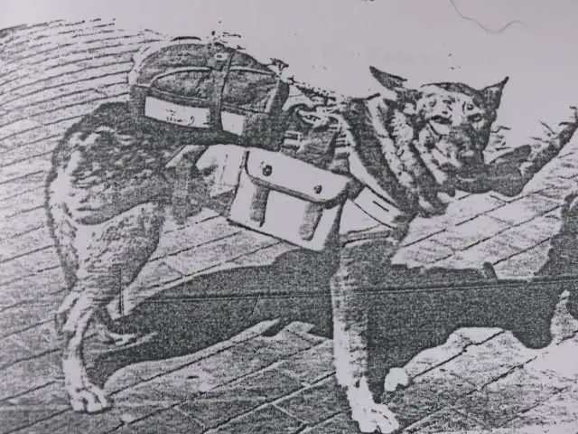 segunda