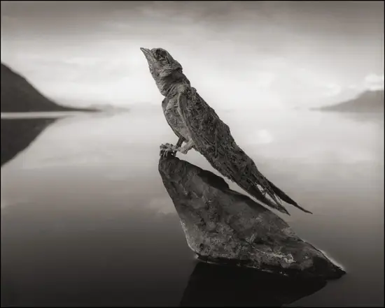 lago