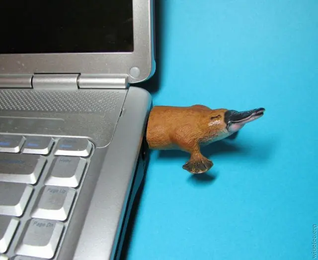 pendrive informacion  y diseños