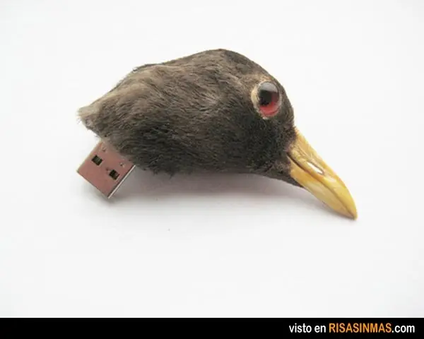 pendrive informacion  y diseños
