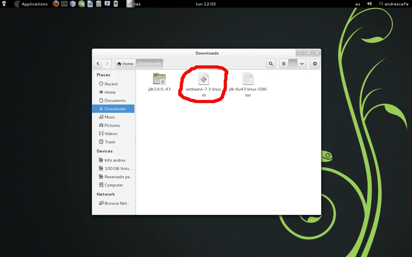 netbeans