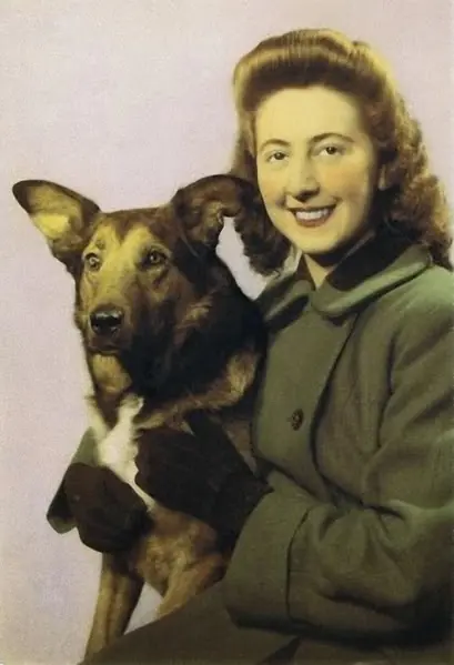 perros