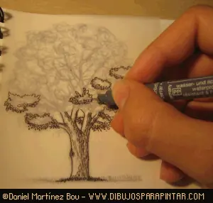 Curso de dibujo :aprende a dibujar