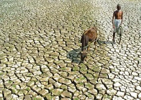 Impacto alarmante del cambio climático según informe del B