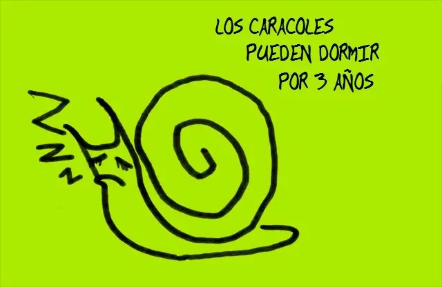 Curiosidades que a nadie le importan !