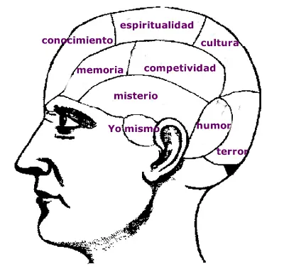 Muñecas Sexuales (documental)