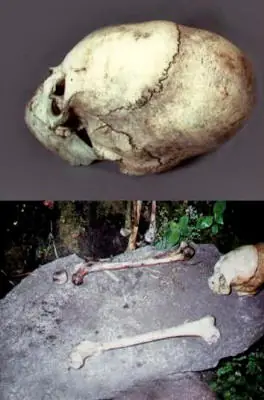 La historia oculta de la raza Humana