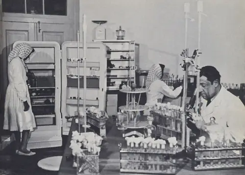 Afganistán antiguo imperdible (megapost)