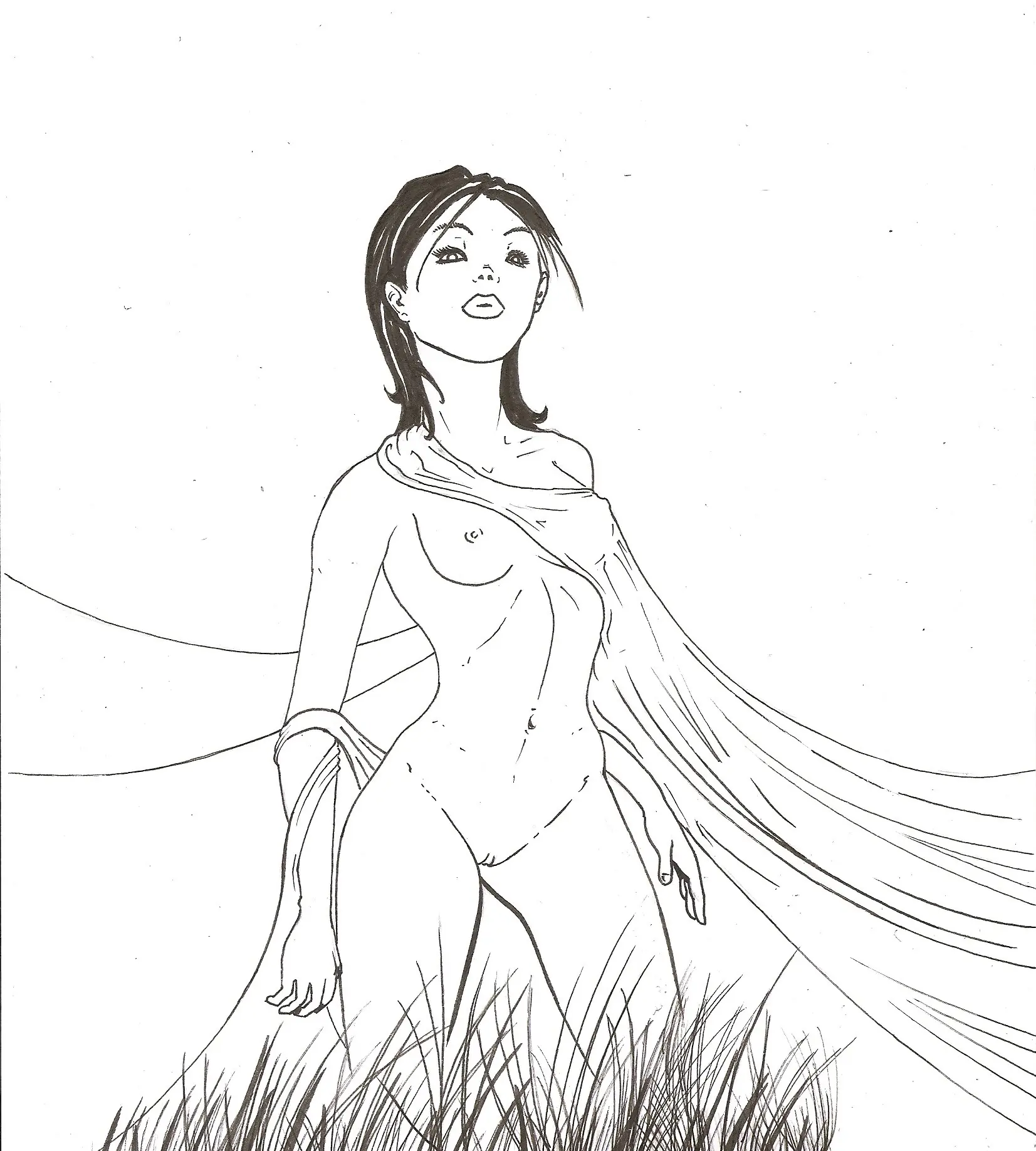 ilustraciones