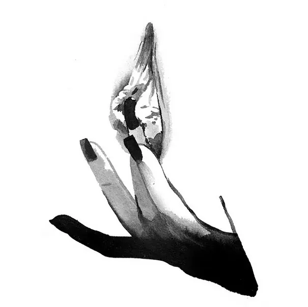 Pintura e Ilustración