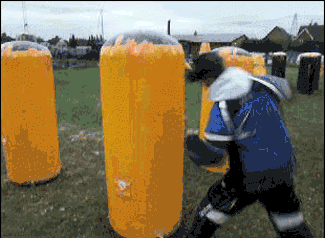 Gifs